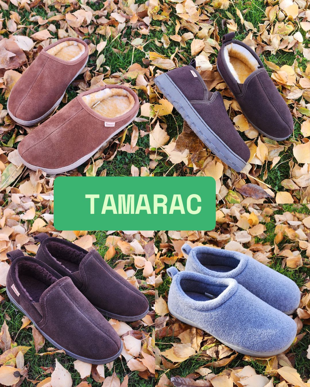 Tamarac