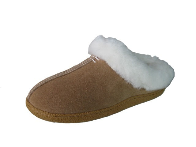 Mi Woollies Aria