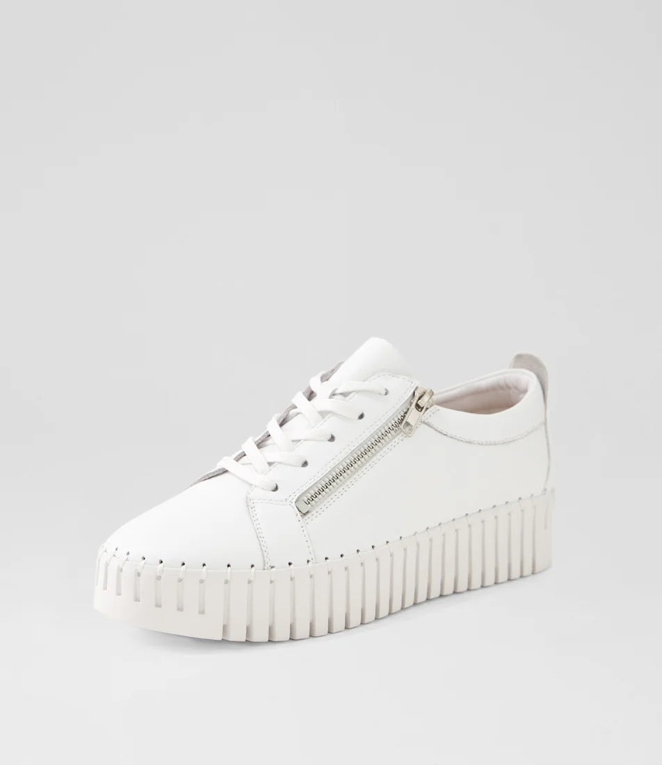 Django & Juliette Bump