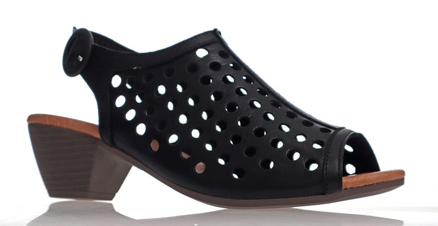 Alfie & Evie Odessey