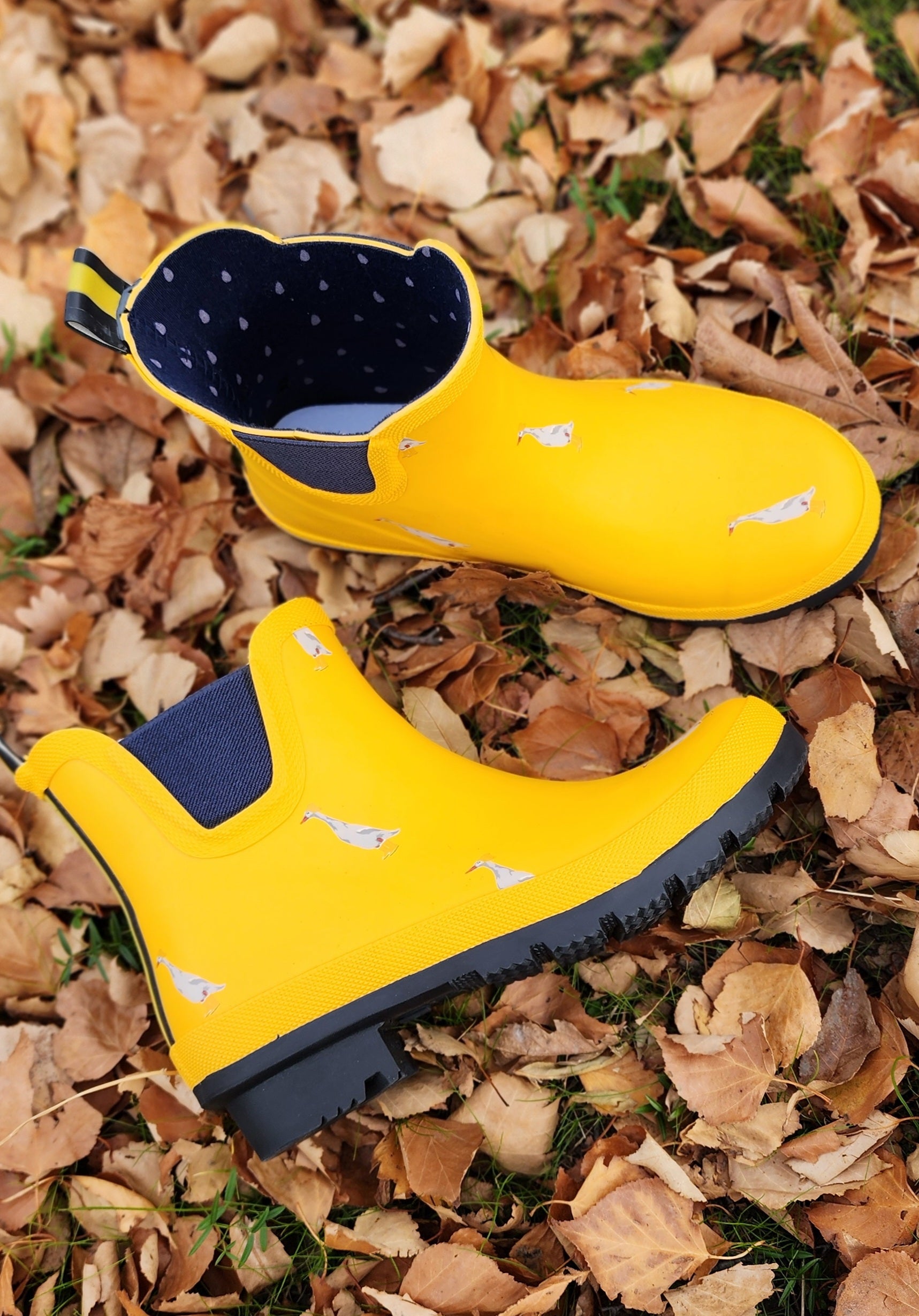 Frank & Beau Rain Boot