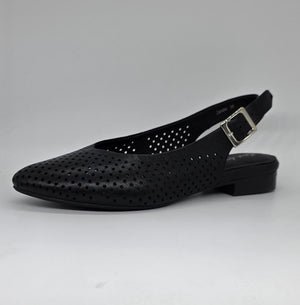 Naked Arches Zander