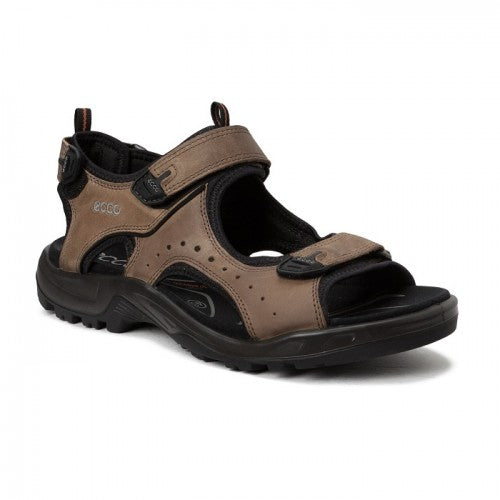 Ecco 20 off discount